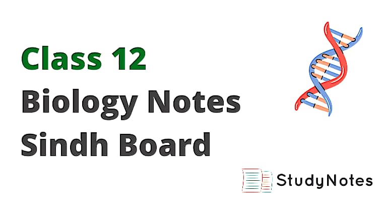 Biology Notes For Class 12 Sindh Board